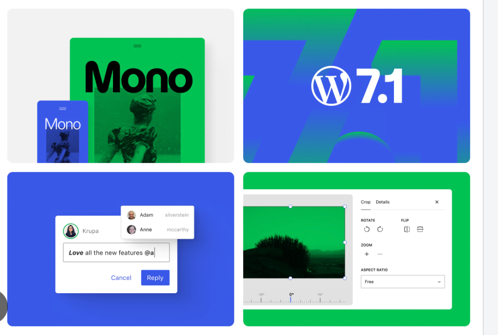 572I will do best website SEO, wordpress, wix, shopify optimization expert